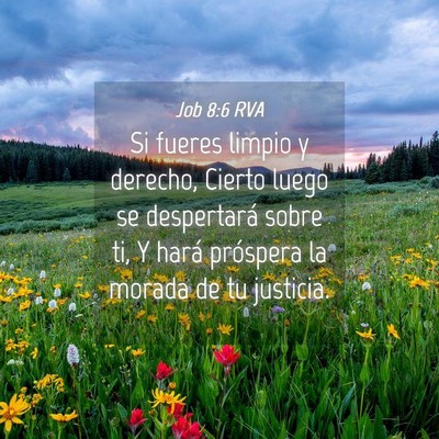 Picture 04 - Job 8:6 RVA - Si fueres limpio y derecho, Cierto luego se - Bible Verse Picture
