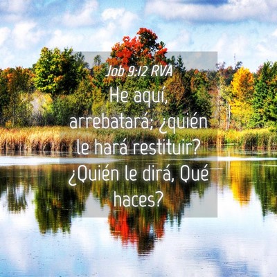 Picture 04 - Job 9:12 RVA - He aquí, arrebatará; ¿quién le hará - Bible Verse Picture