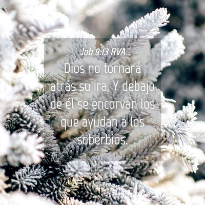 Picture 04 - Job 9:13 RVA - Dios no tornará atrás su ira, Y debajo de él - Bible Verse Picture