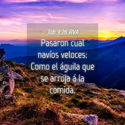 Picture 04 - Job 9:26 RVA - Pasaron cual navíos veloces: Como el águila que - Bible Verse Picture