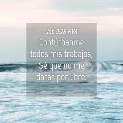 Picture 04 - Job 9:28 RVA - Contúrbanme todos mis trabajos; Sé que no me - Bible Verse Picture