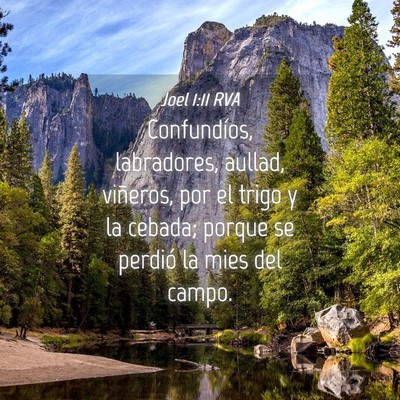 Picture 04 - Joel 1:11 RVA - Confundíos, labradores, aullad, viñeros, por el - Bible Verse Picture