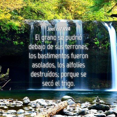 Picture 04 - Joel 1:17 RVA - El grano se pudrió debajo de sus terrones, los - Bible Verse Picture