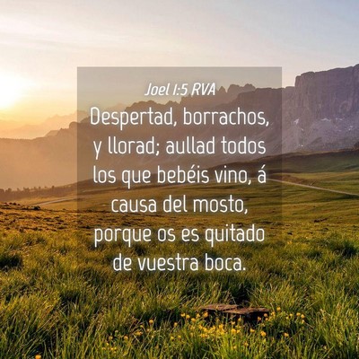 Picture 04 - Joel 1:5 RVA - Despertad, borrachos, y llorad; aullad todos los - Bible Verse Picture