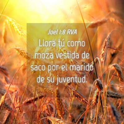 Picture 04 - Joel 1:8 RVA - Llora tú como moza vestida de saco por el marido - Bible Verse Picture
