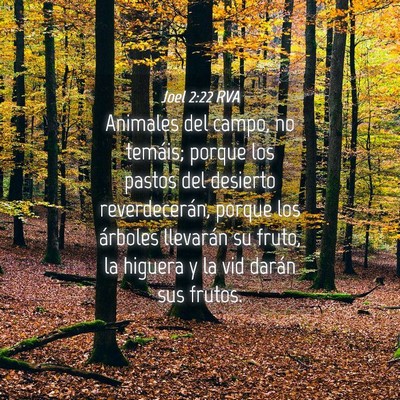 Picture 04 - Joel 2:22 RVA - Animales del campo, no temáis; porque los pastos - Bible Verse Picture