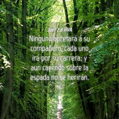 Picture 04 - Joel 2:8 RVA - Ninguno apretará á su compañero, cada uno irá - Bible Verse Picture