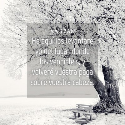 Picture 04 - Joel 3:7 RVA - He aquí los levantaré yo del lugar donde los - Bible Verse Picture