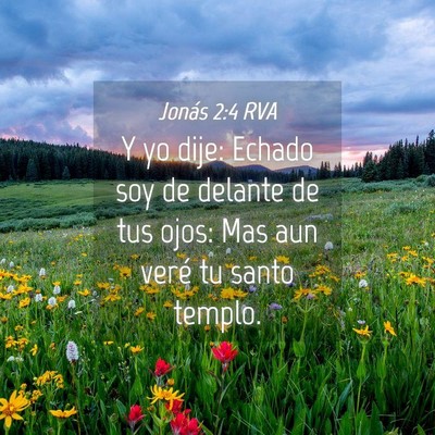 Picture 04 - Jonás 2:4 RVA - Y yo dije: Echado soy de delante de tus ojos: Mas - Bible Verse Picture