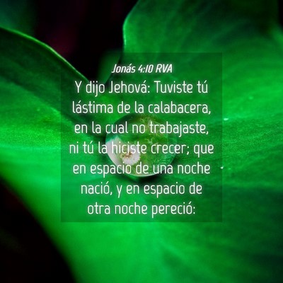 Picture 04 - Jonás 4:10 RVA - Y dijo Jehová: Tuviste tú lástima de la - Bible Verse Picture