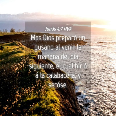 Picture 04 - Jonás 4:7 RVA - Mas Dios preparó un gusano al venir la mañana - Bible Verse Picture