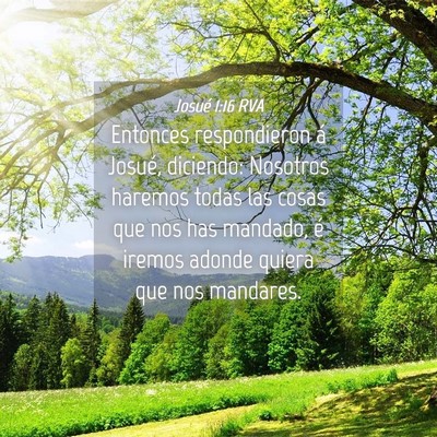 Picture 04 - Josué 1:16 RVA - Entonces respondieron á Josué, diciendo: - Bible Verse Picture
