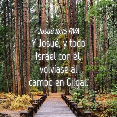 Picture 04 - Josué 10:15 RVA - Y Josué, y todo Israel con él, volvíase al - Bible Verse Picture