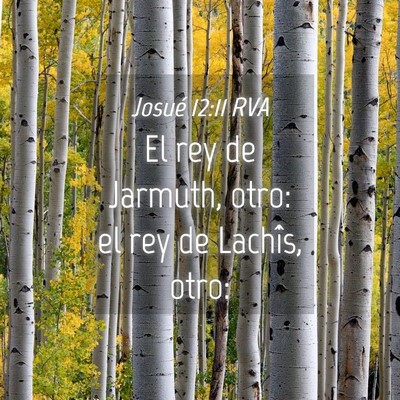 Picture 04 - Josué 12:11 RVA - El rey de Jarmuth, otro: el rey de Lachîs, - Bible Verse Picture