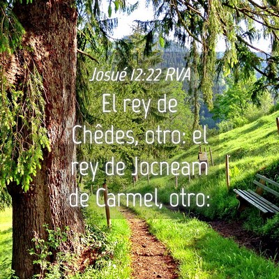 Picture 04 - Josué 12:22 RVA - El rey de Chêdes, otro: el rey de Jocneam de - Bible Verse Picture