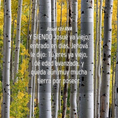 Picture 04 - Josué 13:1 RVA - Y SIENDO Josué ya viejo, entrado en días, - Bible Verse Picture