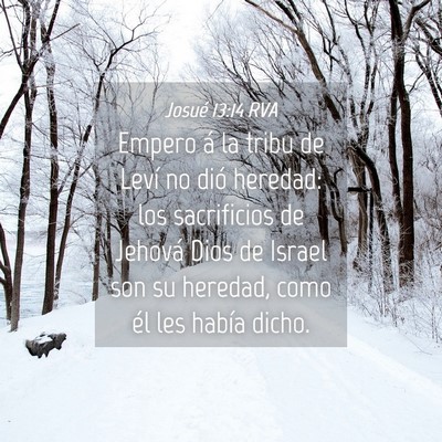 Picture 04 - Josué 13:14 RVA - Empero á la tribu de Leví no dió heredad: los - Bible Verse Picture