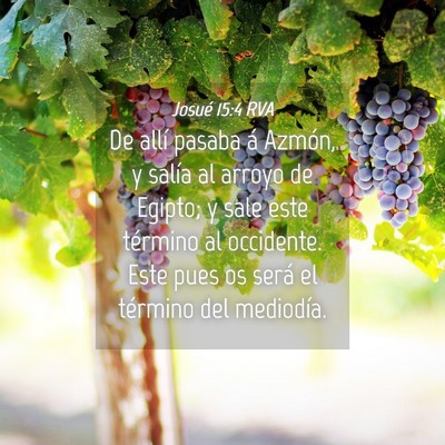 Picture 04 - Josué 15:4 RVA - De allí pasaba á Azmón, y salía al arroyo de - Bible Verse Picture