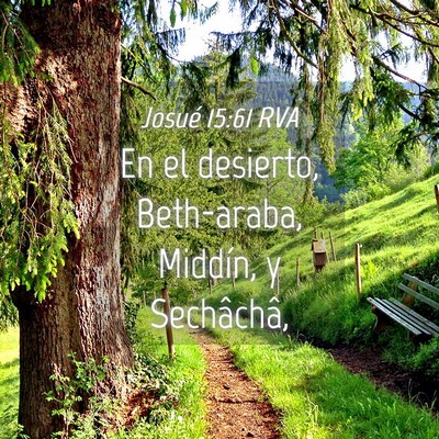 Picture 04 - Josué 15:61 RVA - En el desierto, Beth-araba, Middín, y - Bible Verse Picture