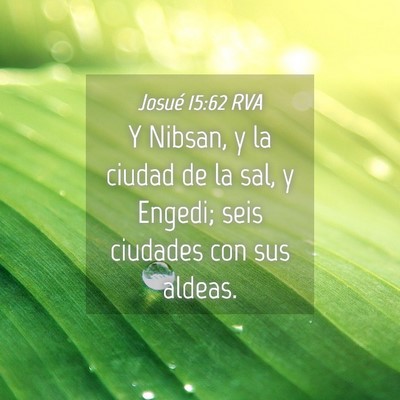 Picture 04 - Josué 15:62 RVA - Y Nibsan, y la ciudad de la sal, y Engedi; seis - Bible Verse Picture