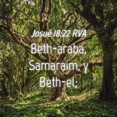 Picture 04 - Josué 18:22 RVA - Beth-araba, Samaraim, y - Bible Verse Picture