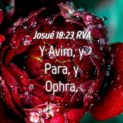 Picture 04 - Josué 18:23 RVA - Y Avim, y Para, y - Bible Verse Picture