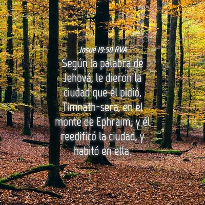 Picture 04 - Josué 19:50 RVA - Según la palabra de Jehová, le dieron la ciudad - Bible Verse Picture