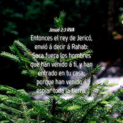 Picture 04 - Josué 2:3 RVA - Entonces el rey de Jericó, envió á decir á - Bible Verse Picture