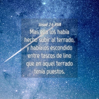 Picture 04 - Josué 2:6 RVA - Mas ella los había hecho subir al terrado, y - Bible Verse Picture