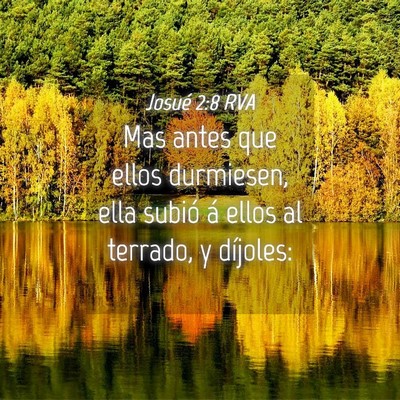 Picture 04 - Josué 2:8 RVA - Mas antes que ellos durmiesen, ella subió á - Bible Verse Picture