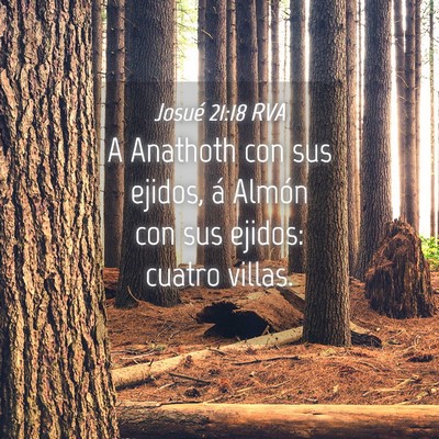 Picture 04 - Josué 21:18 RVA - A Anathoth con sus ejidos, á Almón con sus - Bible Verse Picture