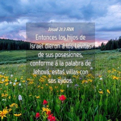 Picture 04 - Josué 21:3 RVA - Entonces los hijos de Israel dieron á los - Bible Verse Picture