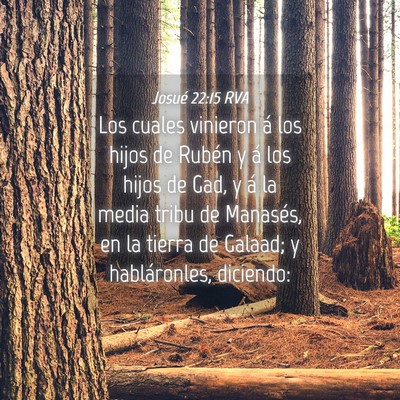Picture 04 - Josué 22:15 RVA - Los cuales vinieron á los hijos de Rubén y á - Bible Verse Picture