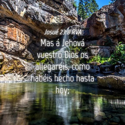 Picture 04 - Josué 23:8 RVA - Mas á Jehová vuestro Dios os allegaréis, como - Bible Verse Picture