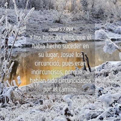 Picture 04 - Josué 5:7 RVA - Y los hijos de ellos, que él había hecho - Bible Verse Picture