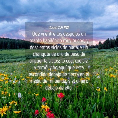 Picture 04 - Josué 7:21 RVA - Que vi entre los despojos un manto babilónico - Bible Verse Picture