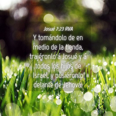 Picture 04 - Josué 7:23 RVA - Y tomándolo de en medio de la tienda, - Bible Verse Picture