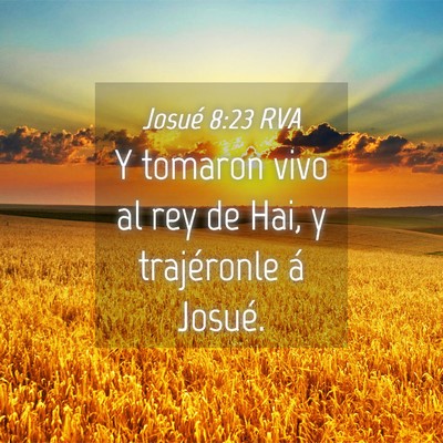 Picture 04 - Josué 8:23 RVA - Y tomaron vivo al rey de Hai, y trajéronle á - Bible Verse Picture