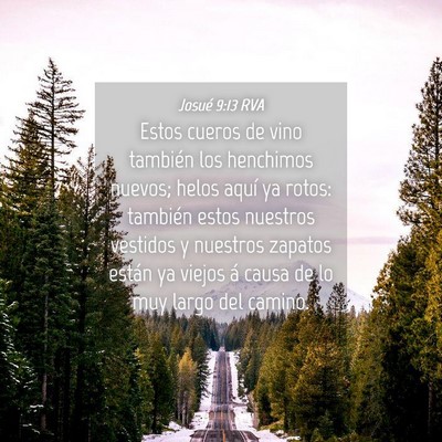 Picture 04 - Josué 9:13 RVA - Estos cueros de vino también los henchimos - Bible Verse Picture