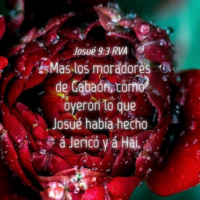 Picture 04 - Josué 9:3 RVA - Mas los moradores de Gabaón, como oyeron lo que - Bible Verse Picture