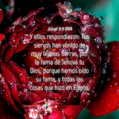 Picture 04 - Josué 9:9 RVA - Y ellos respondieron: Tus siervos han venido de - Bible Verse Picture