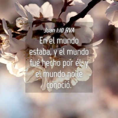 Picture 04 - Juan 1:10 RVA - En el mundo estaba, y el mundo fué hecho por - Bible Verse Picture