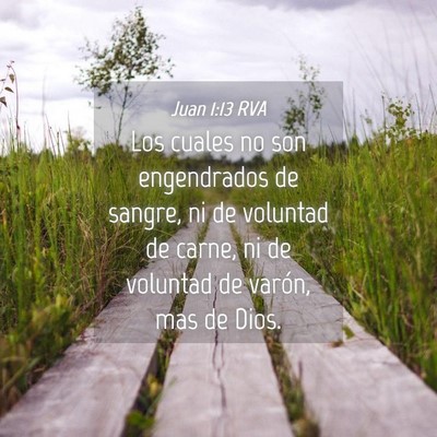 Picture 04 - Juan 1:13 RVA - Los cuales no son engendrados de sangre, ni de - Bible Verse Picture