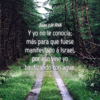 Picture 04 - Juan 1:31 RVA - Y yo no le conocía; más para que fuese - Bible Verse Picture