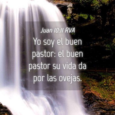 Picture 04 - Juan 10:11 RVA - Yo soy el buen pastor: el buen pastor su vida da - Bible Verse Picture