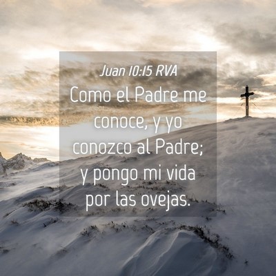 Picture 04 - Juan 10:15 RVA - Como el Padre me conoce, y yo conozco al Padre; y - Bible Verse Picture