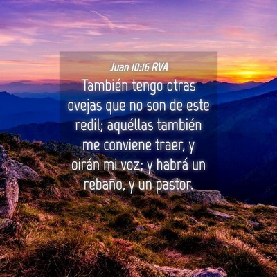 Picture 04 - Juan 10:16 RVA - También tengo otras ovejas que no son de este - Bible Verse Picture