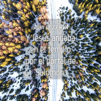 Picture 04 - Juan 10:23 RVA - Y Jesús andaba en el templo por el portal de - Bible Verse Picture