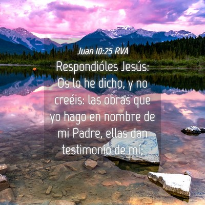 Picture 04 - Juan 10:25 RVA - Respondióles Jesús: Os lo he dicho, y no - Bible Verse Picture