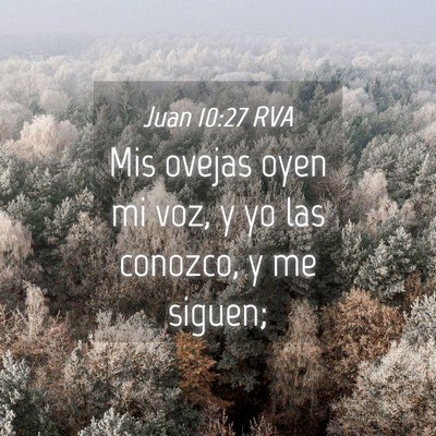 Picture 04 - Juan 10:27 RVA - Mis ovejas oyen mi voz, y yo las conozco, y me - Bible Verse Picture